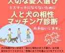 人と犬の相性マッチング◯愛犬選びサポートします 相性のミスマッチで愛犬飼育困難に陥らないために イメージ1