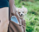 400組以上撮影｜自然なプロフィール写真を残します 会話から自然な表情と空気感を引き出します イメージ5