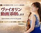 ヴァイオリン動画添削します 東京藝術大学卒・コンクール審査員が丁寧に添削します イメージ1