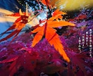 出版経験ありの現役詩人があなたの写真に詩を書きます あなたの写真の魅力を現役の詩人が詩で引き出します イメージ2