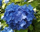 恋愛・健康・子育てなど、占い＆ヒーリングします 心身ともスッキリ前向きになりましょう。 イメージ1