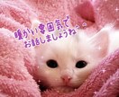 人生の苦悩を熟知したカウンセラーが痛みを受止めます /心に寄り添う「掛け替えのない大切な貴方」だけの命の電話相談 イメージ6