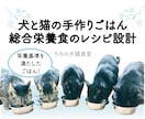 犬と猫の手作りレシピ(総合栄養食)を作成いたします ペット栄養管理士兼獣医師による手作りレシピ作成サービスです イメージ1