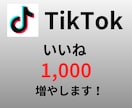 TikTok ”いいね” 増やします 最小１０～OK！振り分けも対応可！ イメージ1
