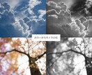 写真をモノクロ写真に仕上げます 【モノクロ写真専門】の経験を活かし仕上げます イメージ2