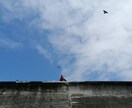あなたの心をちょこぽがお埋めします 誰かと話したい‥そんなあなたの心をちょこぽがお埋めします！ イメージ2