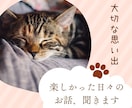 聞かせて❗️愛猫ちゃんのこと☘️アドバイスもします 猫歴10年以上❗️６匹の猫ちゃんと暮らし中✨お悩み相談⭐️ イメージ6