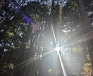 どんなお話しもできます 。アナタのちょっと離れた親戚くらいに思ってください♡ イメージ8