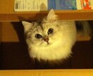 人生の幸せの為に自分の磨き方をお伝えします イメージ1