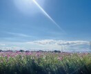 今週にあった事聞き、話ます 休日も明るく、楽しく過ごしましょ！！ イメージ1