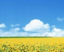 性感アドバイします イケないあなたへイキたいあなたへ イメージ1