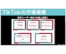 SNSのプロが1ヶ月TikTok運用代行します TikTok実績30件以上！認知・集客・採用を全力支援！ イメージ4