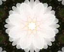曼荼羅の画像を売ります 画像の素材を求めている方、生活雑貨や生地をプロデュースする方 イメージ1