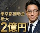 最大2億円！設備投資支援補助金の申請作成支援します ～現役で補助金審査員を務める中小企業診断士による支援です～ イメージ1