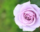 ハイヤーセルフ遠隔ヒーリングを提供します あなたのハイヤーセルフからの一言メッセージとヒーリング♪ イメージ1