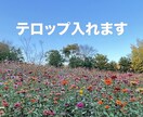 テロップ入れ&見やすくカットします 動画を見やすくカット!コメントテロップを入れます イメージ1
