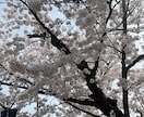 批判や拒絶なし！保育士があなたのお話聞いちゃいます お試し1分から 雑談・愚痴・何でも聞きます！ イメージ4