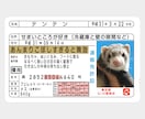 運転免許証そっくりなICカードステッカー作ります ペットの写真で作って、Suicaなどに貼っちゃおう！ イメージ3