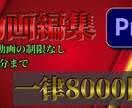 Premiere Proを使用した動画編集します 元動画の時間に制限はないです。 イメージ1