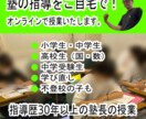 不登校や学び直しの学習サポートをいたします ちょっとづつ頑張ってみませんか？30分から可能です！ イメージ1
