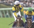 競馬の独自の見解と本命馬、推奨馬予想します あなたの予想を手助けします。展開から予想してます地方競馬も。 イメージ2