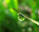 ただ、さびしい/その気持ち私がいつでも受け止めます !悩みがなくても、話す話題がなくても、1分でも、長時間でも❤ イメージ2