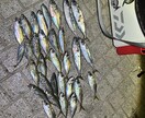 中級者向け、ルアーフィッシングへの第一歩支援します 釣り歴20年の私がルアー釣りのノウハウ伝授します！ イメージ6