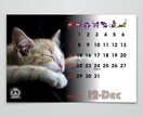 猫の愛くるしい瞬間を集めたフォトカレンダー作ります 2025年度版縁なしフル画像の卓上カレンダーで毎日を一緒に! イメージ9