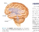 専門知識に基づいて分かりやすい記事を書きます 博士（理学）。現役研究職です。 イメージ1