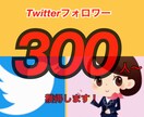 Twitterフォロワー300人～獲得します 日本人フォロワーにあなたを宣伝致します！ イメージ1