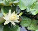 自己肯定感上げるあなたの持ってる力をお伝えします 自信を持ちたい！自分の長所の良いところがわからないあなたへ イメージ6