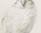 ペットの似顔絵を手描き原画で制作します お写真をもとに、ハガキサイズのペット肖像画を制作いたします。 イメージ8