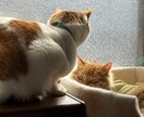 あなたの秘密❤️おねーさんが受け止めます タブーなし‼️即返信‼️どんな恋愛もぶっちゃけて下さい‼️ イメージ3