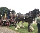 イギリスの学校情報提供&学校との交渉代行します 自身の三児の学校探し受験留学ビザ取得を自力で行った経験から イメージ3