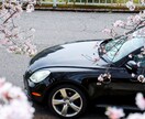 車購入、乗り換えタイミングなどアドバイスします お得に乗り換え、最適なカーライフを イメージ1