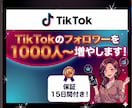 TikTokフォロワー1000人増やします [お試し価格]衝撃コスパでフォロワー増加を体験！！ イメージ5