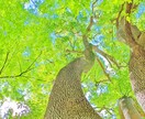 心と身体をそっと癒します 日常の疲れやストレスを丁寧に遠隔にてヒーリングします。 イメージ1
