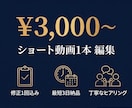 修正5回無料　ショート動画を丁寧に編集します 【素材を渡すだけ】インスタ・TikTok向け動画編集 イメージ6