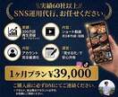 SNS運用代行 月3本｜対応します PR動画300万再生。SNSを「資産」として育てます イメージ1