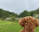 気軽に話しよ〜。。秘密のこと•相談何でも聞きます ここは会社でも家庭でもない場所だから　お悩み話してね＾＾ イメージ9