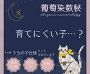数秘術✦子育て診断｜育児のヒントをお伝えします 発達・こだわり・やる気…気になる子どもの傾向を数秘で見える化 イメージ3