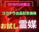 Yes.No鑑定、迷った際どちらに進むか霊視します 『困った時の神頼み』霊媒術の特性を活かし正しい方向へ導きます イメージ1