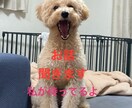 看護師があなたのお話にそっと耳を傾けます ～その気持ち、ここに置いていきませんか？～ イメージ2