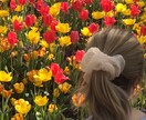 マッチングアプリ【現役女子大生が】添削致します ☆聞きたいこと全部お答え致します☆ イメージ1