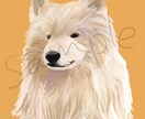 リアルでかわいい愛犬の似顔絵描きます 写真からイラストにしますイラスト/犬/似顔絵 イメージ2