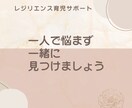 子どもの回復する心を育てる育児相談を受けます その子に合った関わり方でレジリエンスを育てます イメージ6