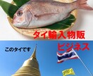 在宅タイ輸入物販ビジネスの稼ぎ方お教えします 現地買い付け不要のタイ製品の仕入れ転売で副業収入を得る方法 イメージ1