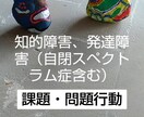 自傷、他傷、こだわり等起因を探り改善策を提案します 100名以上の支援実績と国研修講師経験から多数の事例を所持！ イメージ1
