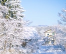 雪・冬景色アート加工写真を販売します 雪・冬景色アート加工写真　雪の部分にアート加工をしています イメージ4