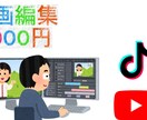 YouTubeやTikTokの編集動画を作ります 3000円という安さでやっています イメージ1